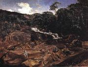 Johann Georg Grimm Waterfall in Teresopolis oil on canvas